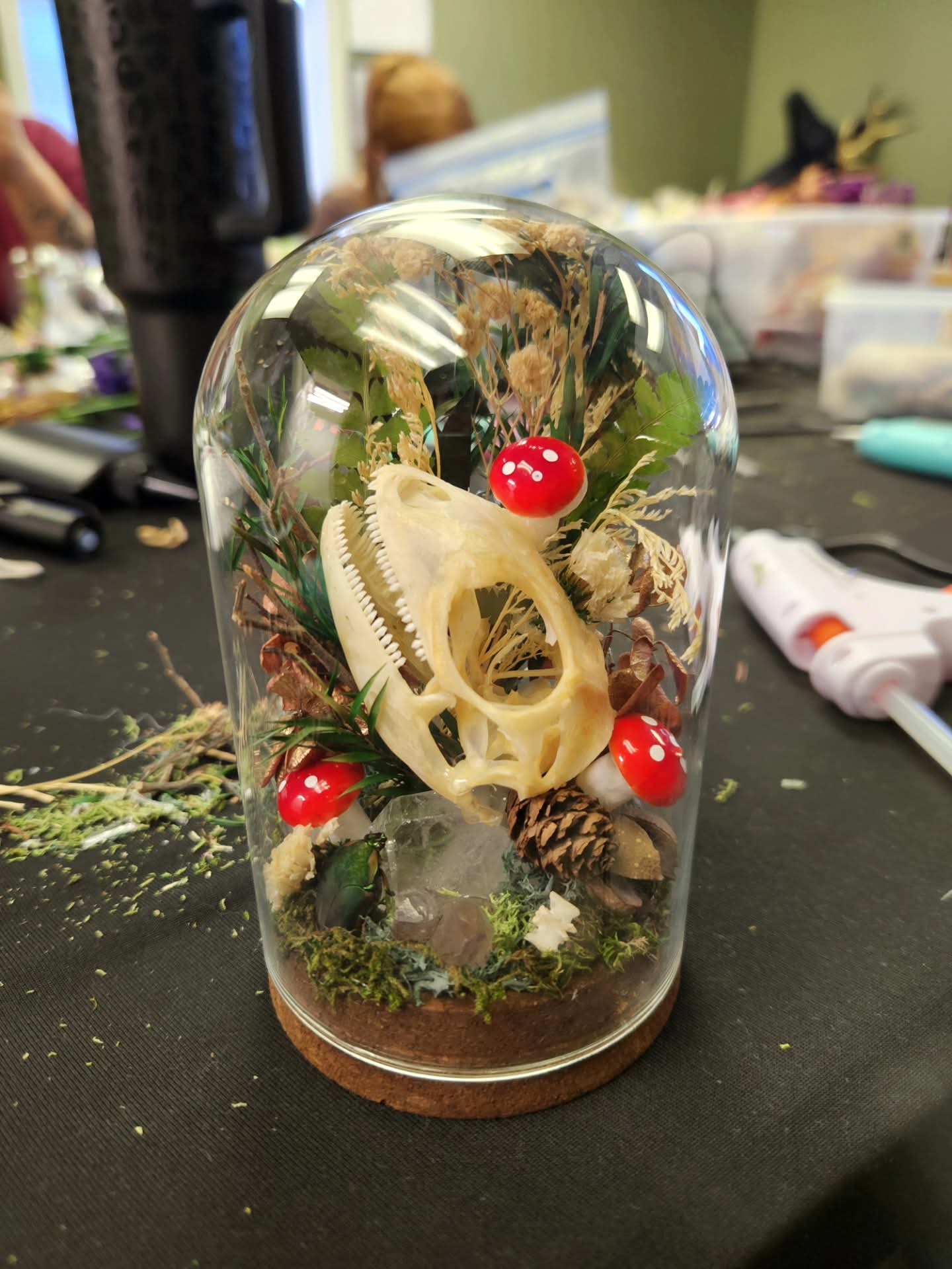 DIY Iguana skull oddity