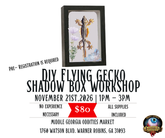 DIY flying gecko shadow box