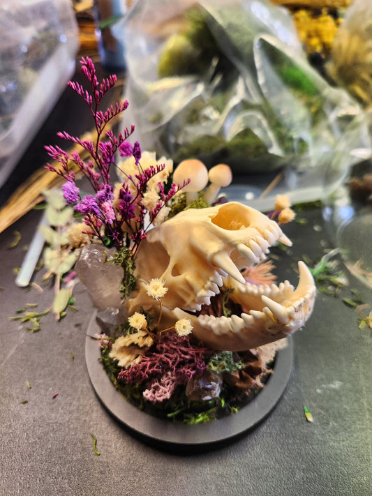 DIY Skull Oddity workshop